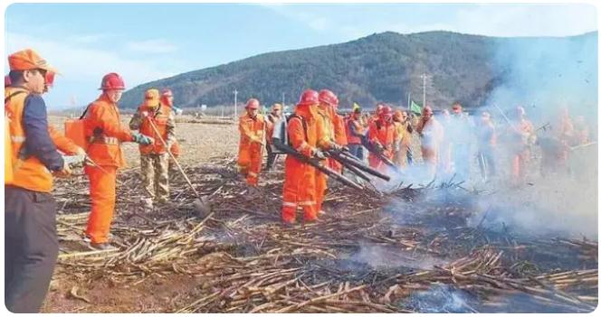 嚴防嚴控織密&ldquo;防火網&rdquo;&mdash;&mdash;甘肅森林草原防火工作綜述